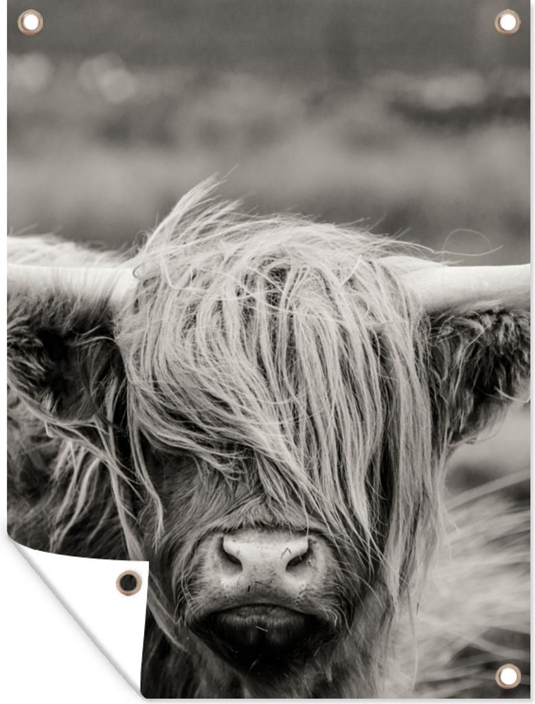 MuchoWow 90x120 cm Outdoor-Poster Gartendeko Sichtschutz Garten Poster für den Garten Schottischer Highlander - Kuh - Tiere - Schwarz-Weiß - L...