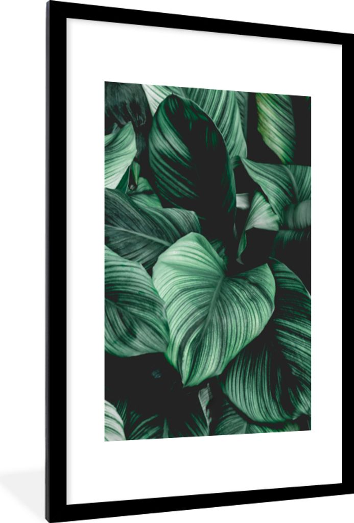 MuchoWow Gerahmtes Poster Dschungel - Blätter - Tropisch - Pflanzen - Natur 60x90 cm - Poster mit Schwarzem Bilderrahmen Wandposter Rahmen Foto ...