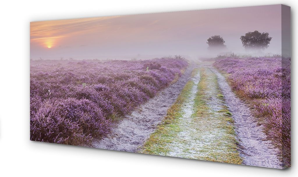 Leinwandbild 100x50 Wandkunst Feld heathers