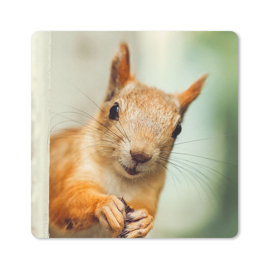 MuchoWow Mauspad Mousepad Eichhörnchen - Lustig - Nuss - Kinder - Jungen - Mädchen - Kind 20x20 cm - Mousepads - Maus Mat - Pad - Mausunterlage...
