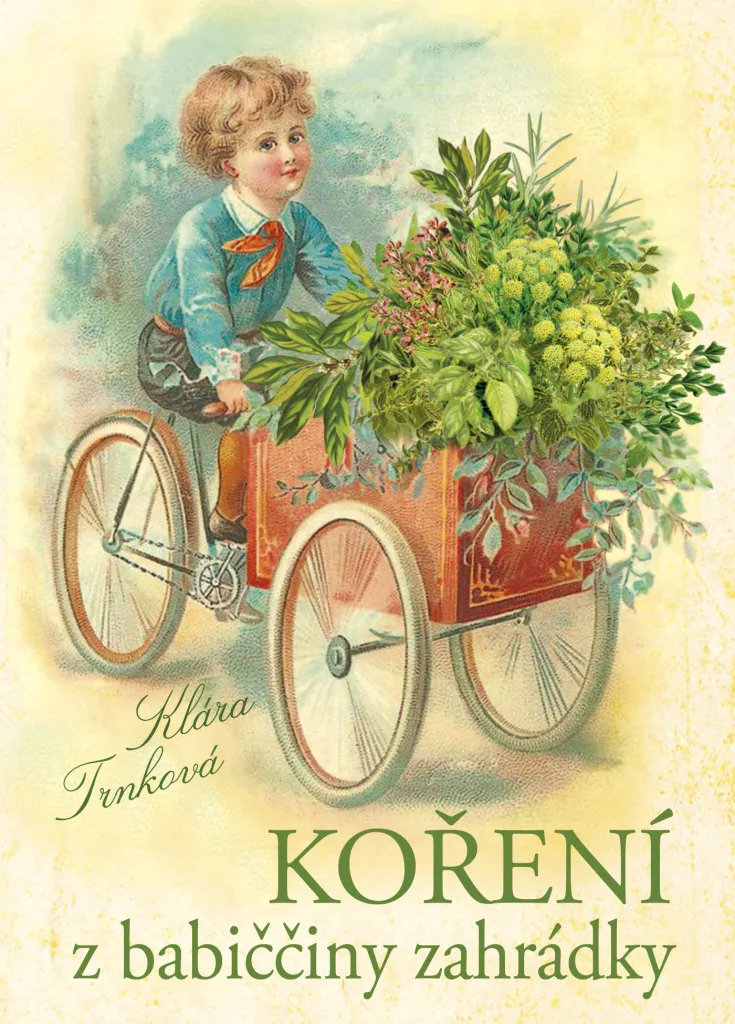 Livre de Recettes Épices du Jardin : Traditions et Secrets de Grand-Mère