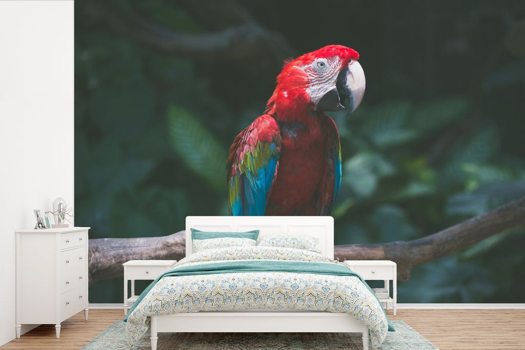 MuchoWow Fototapete für Wohnzimmer oder Schlafzimmer Wandtapete Vinyl Motivtapete Vogel - Papagei - Ara - 600x400 cm - Vinyltapeten