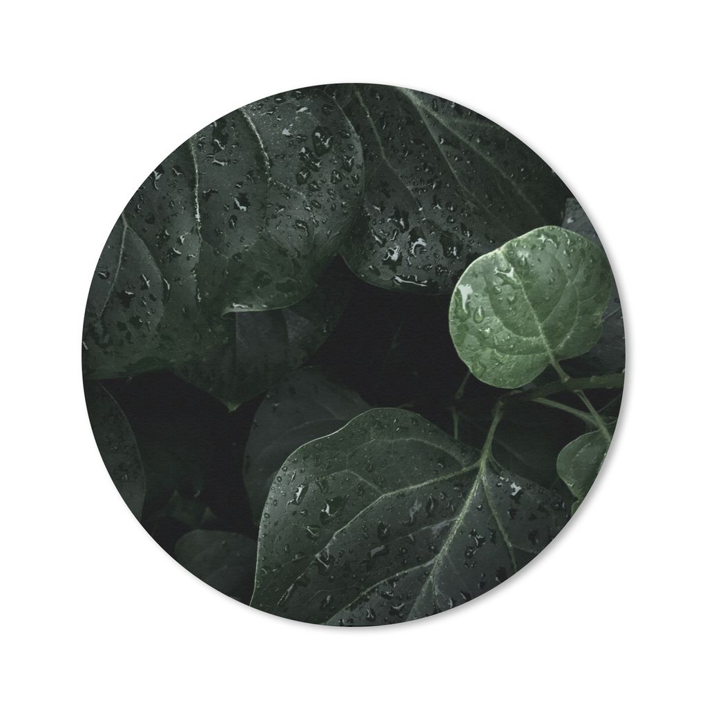 MuchoWow Mauspad Mousepad Nahaufnahme von Regentropfen auf großen Blättern 50x50 cm - Mousepads - Maus Mat - Pad - Mausunterlage - Vinyl