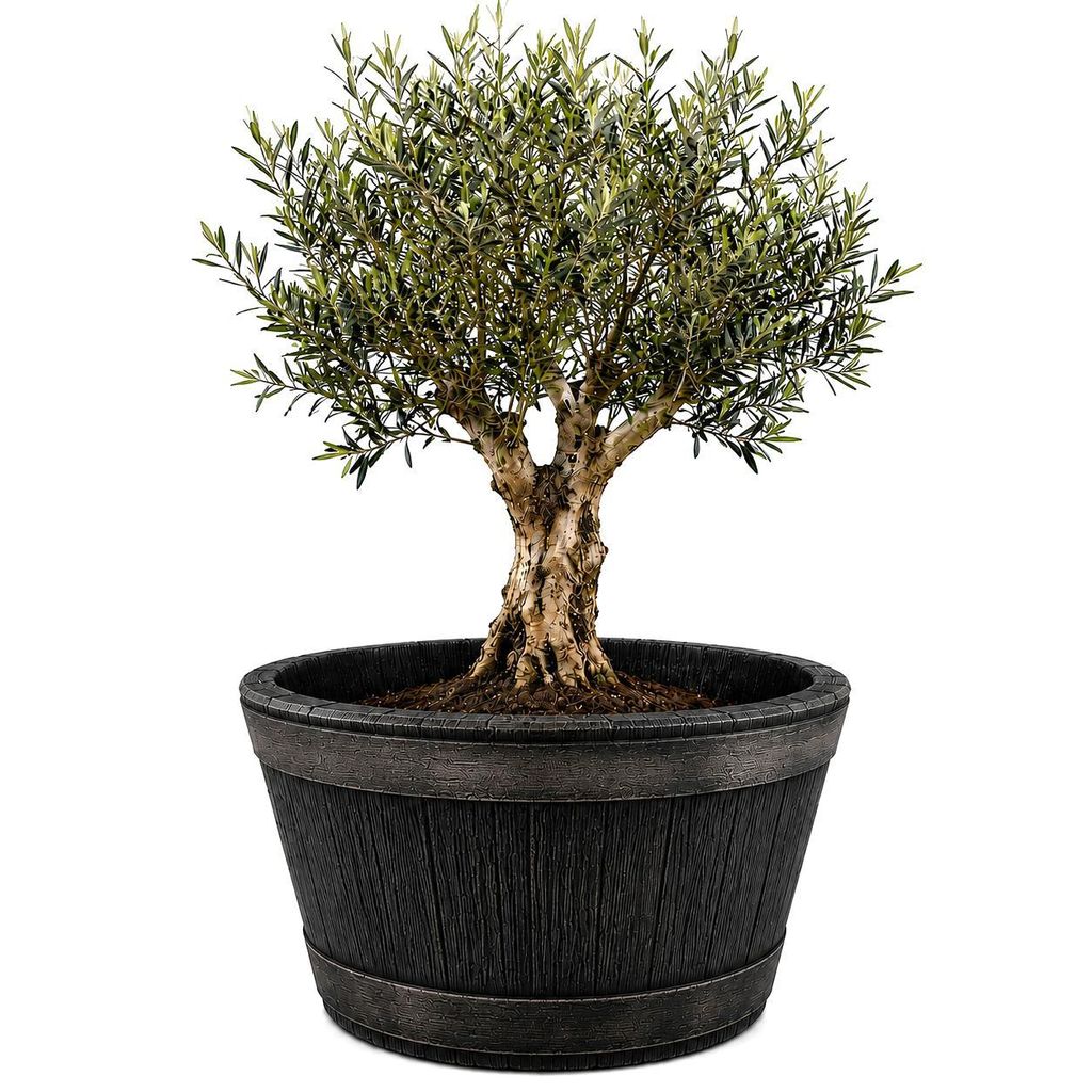 BigDean Weinfass Eichenfass XL 90 Liter Blumenkasten Produktbild 