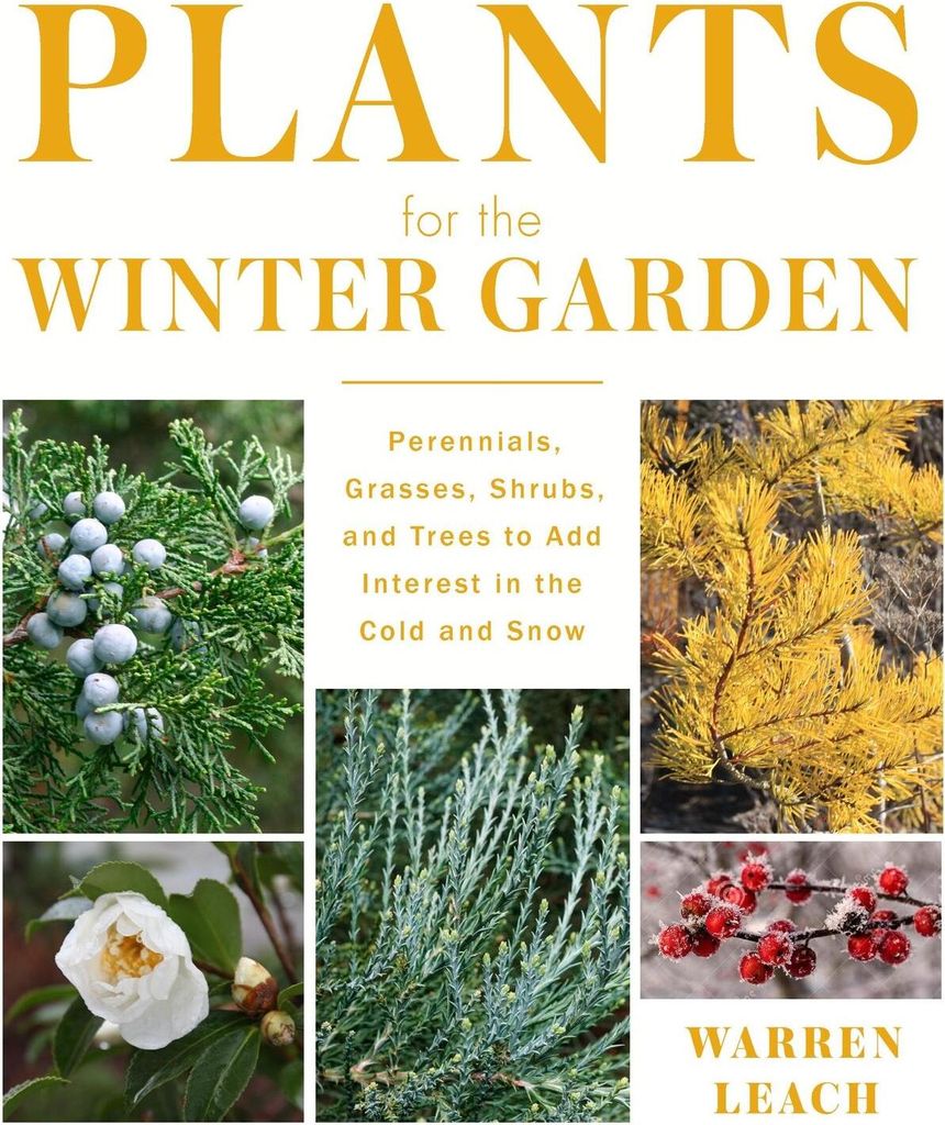 Plants for the Winter Garden