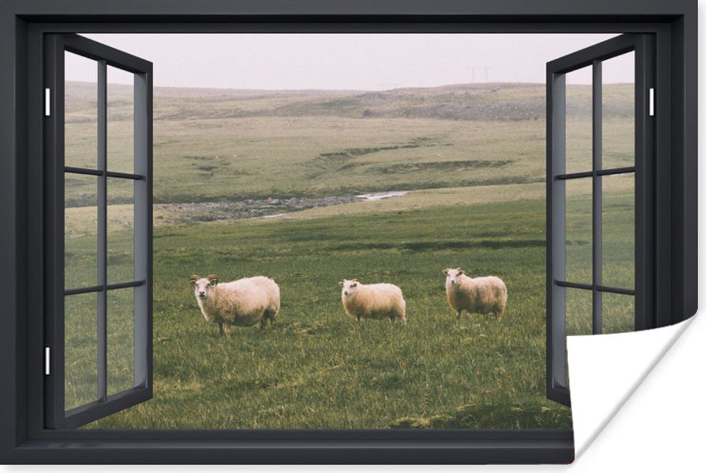 MuchoWow Poster Durchblick - Gras - Schafe 60x40 cm - Schlafzimmerdekoration