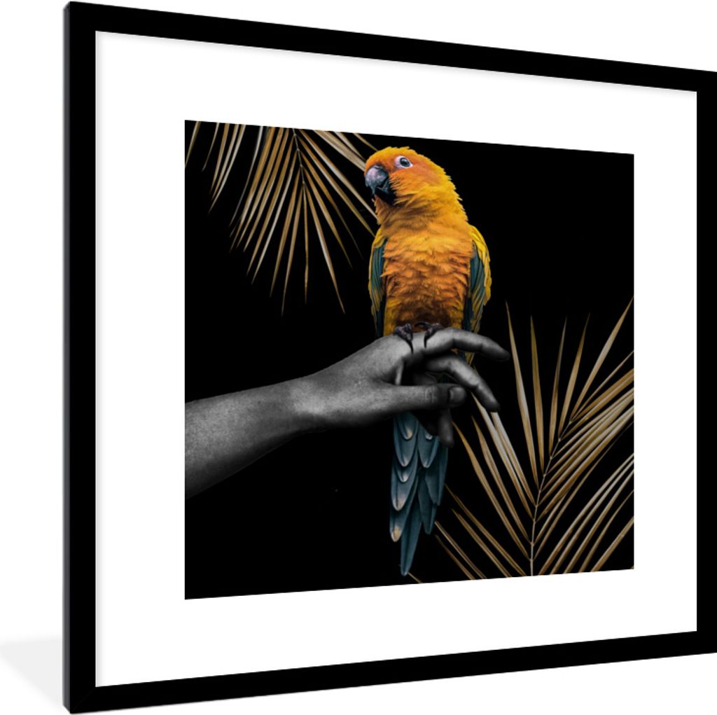 MuchoWow MuchoWow Gerahmtes Poster Vogel - Papagei - Hand - Farn 40x40 cm - Poster mit zchwarzem Bilderrahmen - Poster - Plakat im Rahmen