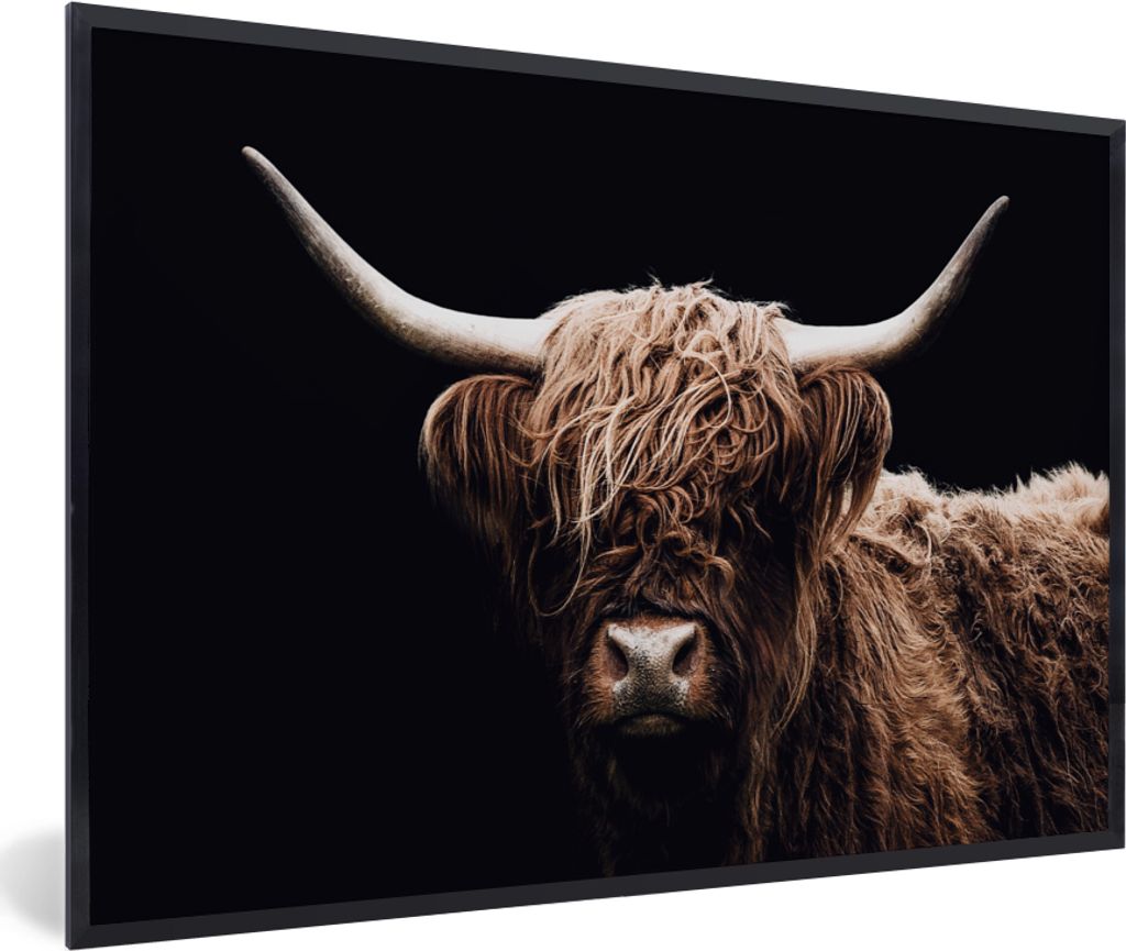MuchoWow Gerahmtes Poster Schottischer Highlander - Schwarz - Horn 60x40 cm - Poster mit Schwarzem Bilderrahmen Wandposter Rahmen Foto Bilder - P...