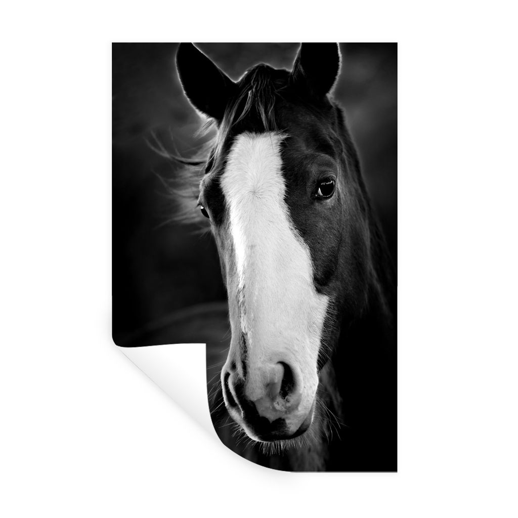 MuchoWow Wandtattoo Wandsticker Wandaufkleber Pferd - Kopf - Licht 20x30 cm Selbstklebend und Repositionierbar - Sticker - Dekorfolie