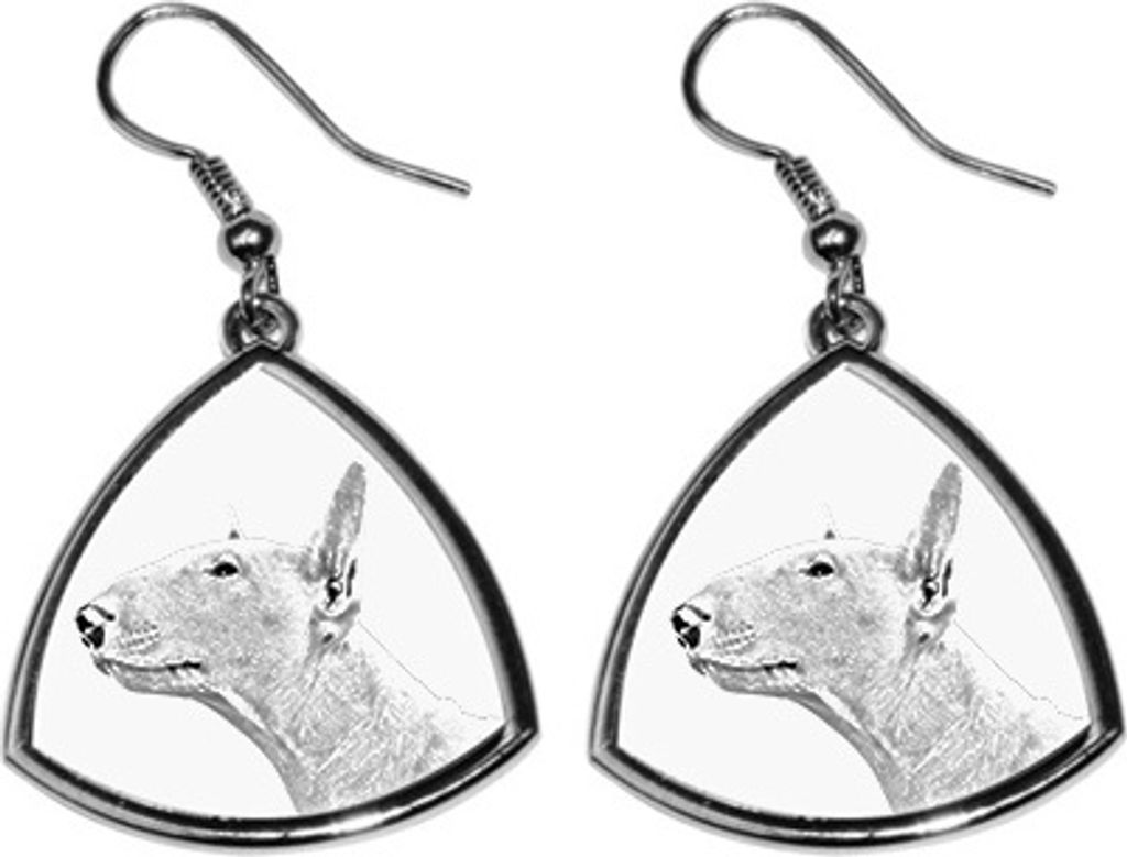Bull Terrier, Bullterrier - Hund Ohrringe, hängende Ohrringe mit Bild, personalisierter Schmuck mit dem Aufdruck der Marke Art-Dog