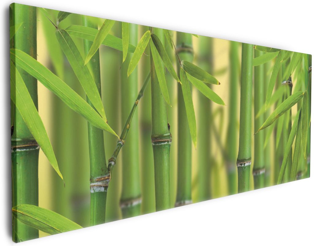 Wallario Premium Leinwandbild Grüner Bambuswald in Größe 60 x 150 cm