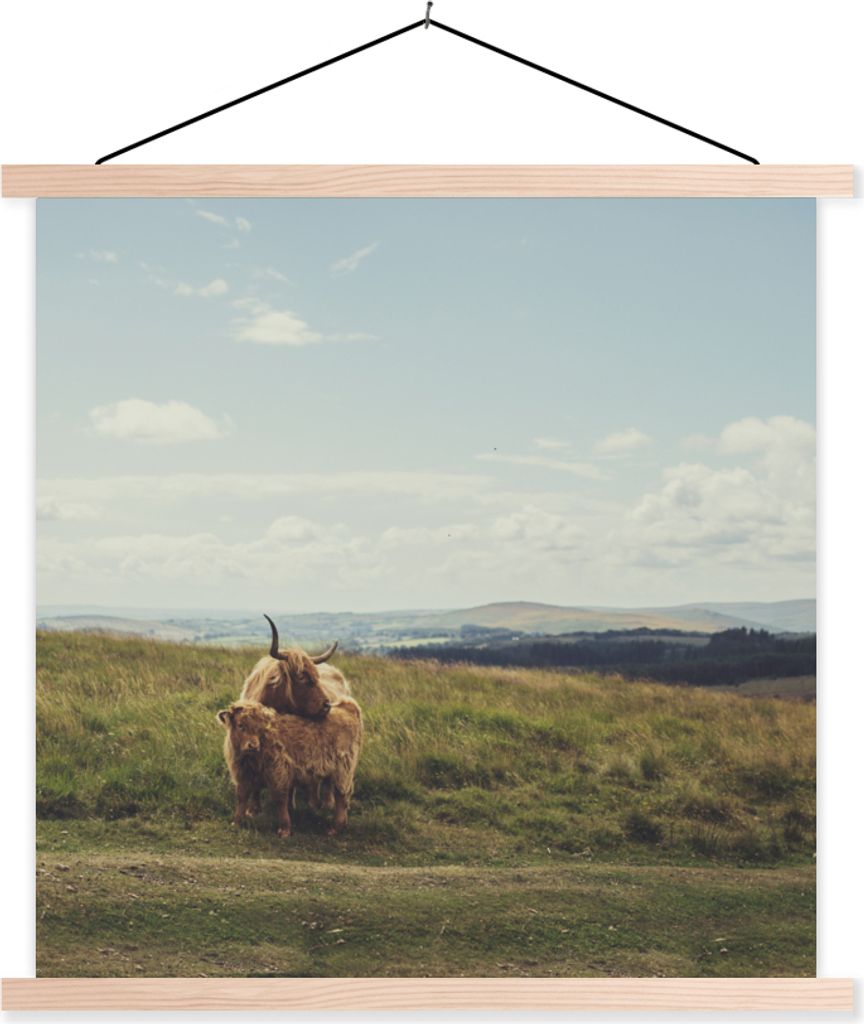 MuchoWow Textilposter Schottische Hochlandrind - Gras - Wolken - Tiere 40x40 cm mit holzfarbenen Rahmen - Posterleiste