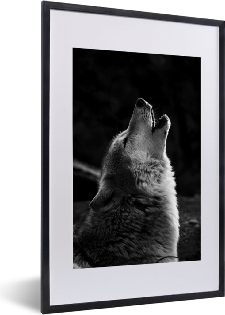 MuchoWow MuchoWow Gerahmtes Poster Heulender grauer Wolf - schwarz und weiß 40x60 cm - Poster mit zchwarzem Bilderrahmen - Poster in Rahmen