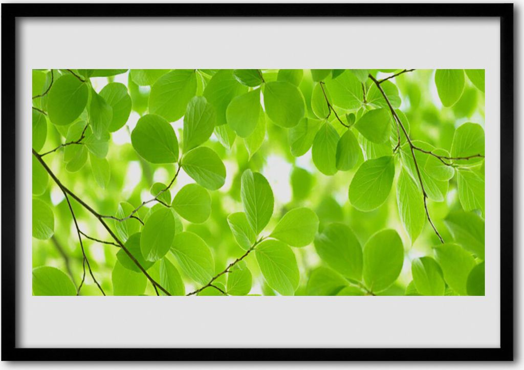 Bild 100x70 MDF-Rahmen Wandkunst Blätter Natur