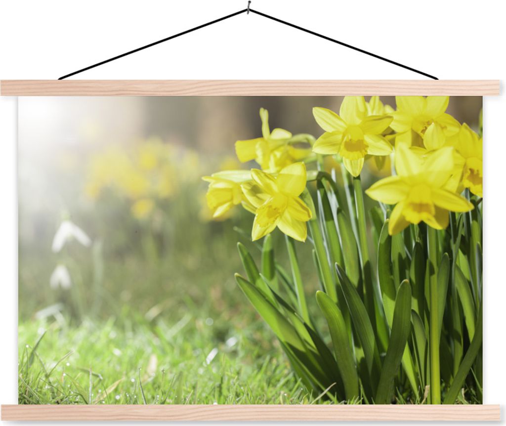 MuchoWow Textilposter Narzisse - Gelb - Frühling 60x40 cm mit holzfarbenen Rahmen - Bilder