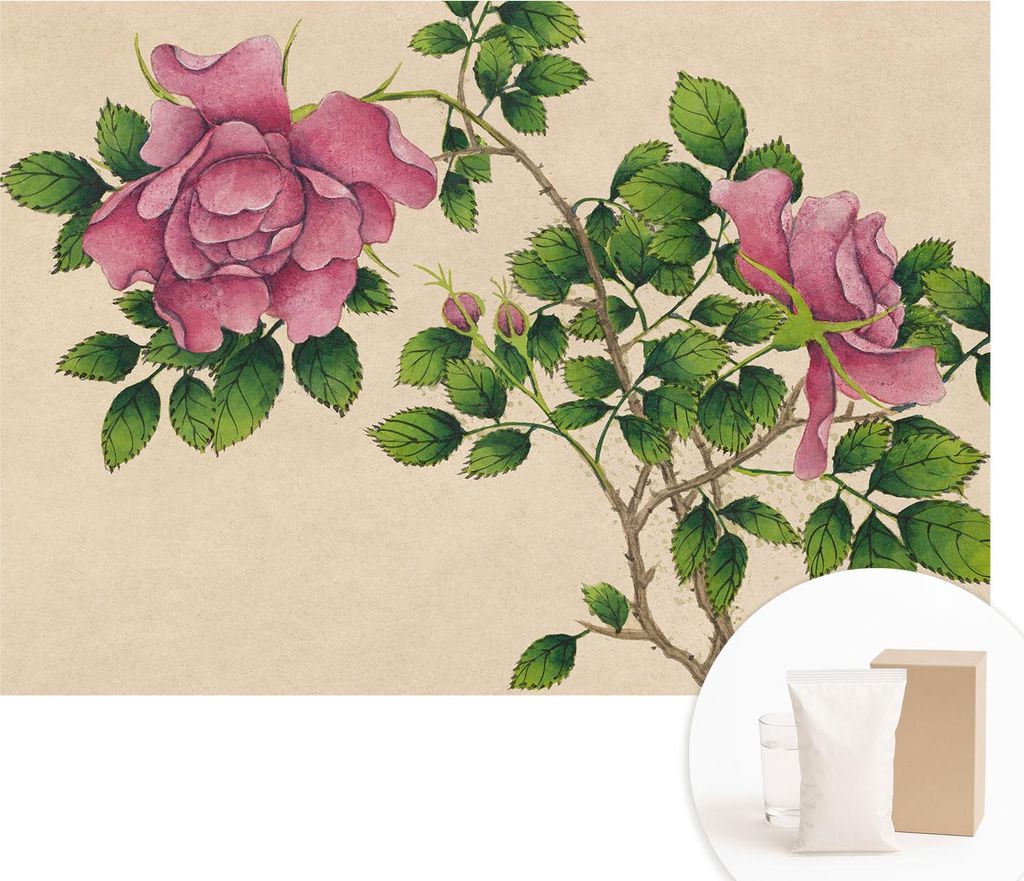 Fototapete - Wandbilder für Wohnzimmer - 208x146 cm - Dekorative Wandfolie - Modernes Design für Wanddekoration - Tapeten für Innenräume - Roma...