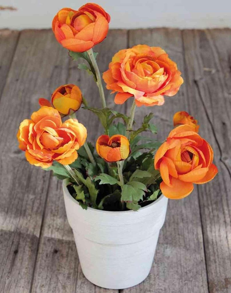 artplants.de Künstliche Ranunkel Maylin im Terracotta Topf, orange, 35cm - Ranunkel Deko/Künstliche Blume