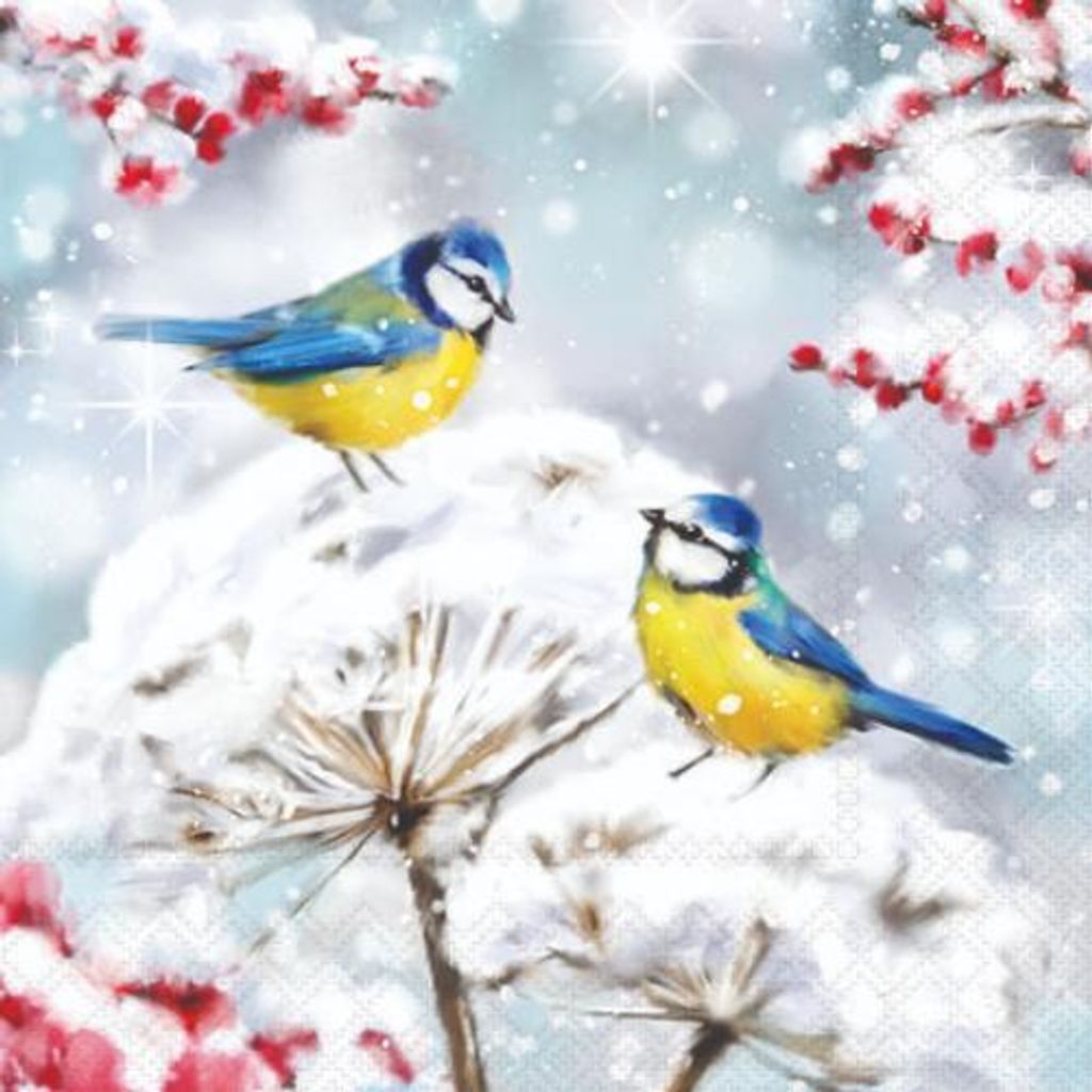 Weihnachten Servietten 25x25 cm 3-lagig 20 Stück Birds in the snowMix Vögel im Schnee