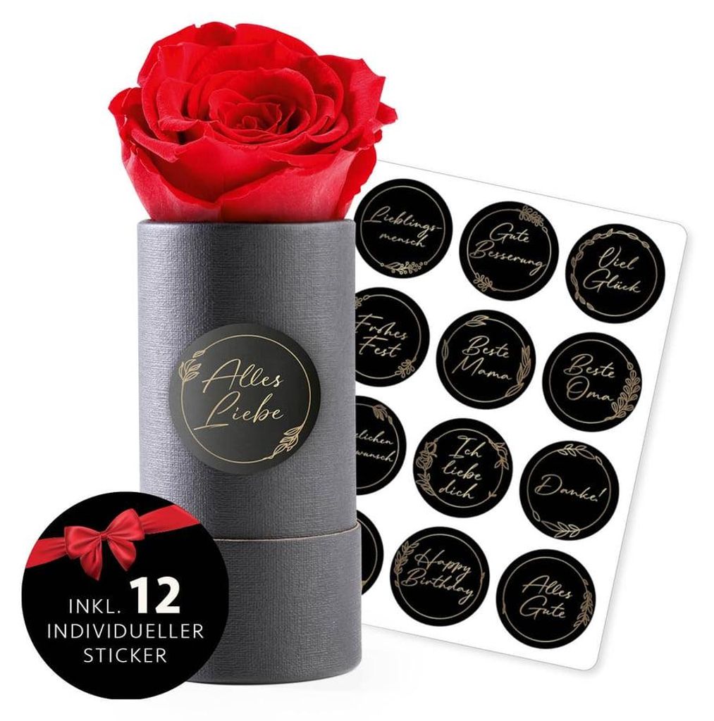 MyFlowers "Infinity" roos - een echte, geconserveerde Productafbeelding 