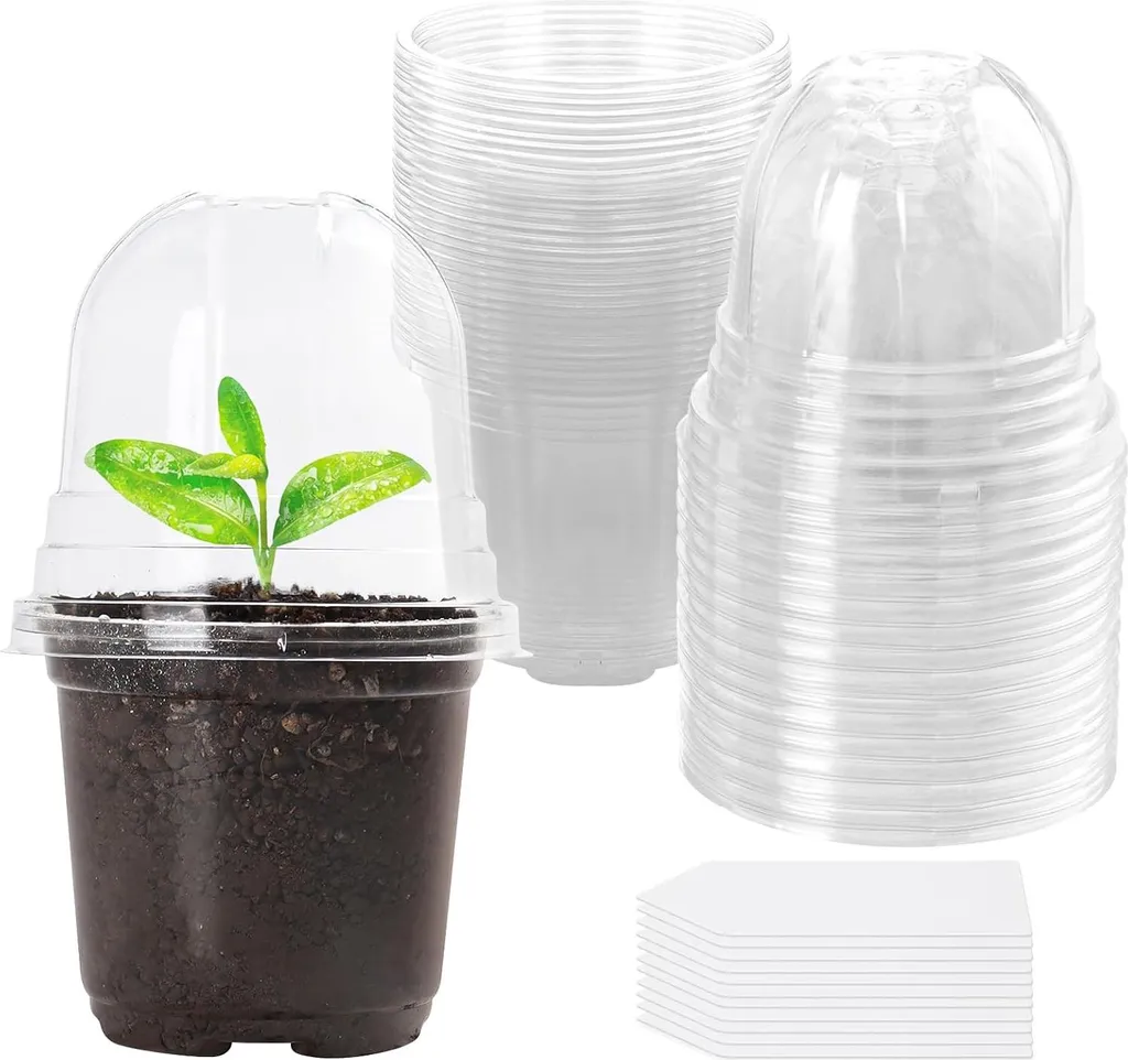Kit de 10 pots de semis transparents pour bouturage et jeunes pousses