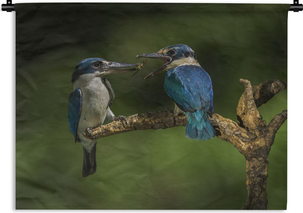 MuchoWow Wandteppich Wandbehang Vögel - Eisvogel - Zweig 90x67.5 cm Tapisserie Dekoration Wandtuch - Fototeppich - Wand-Skulpturen