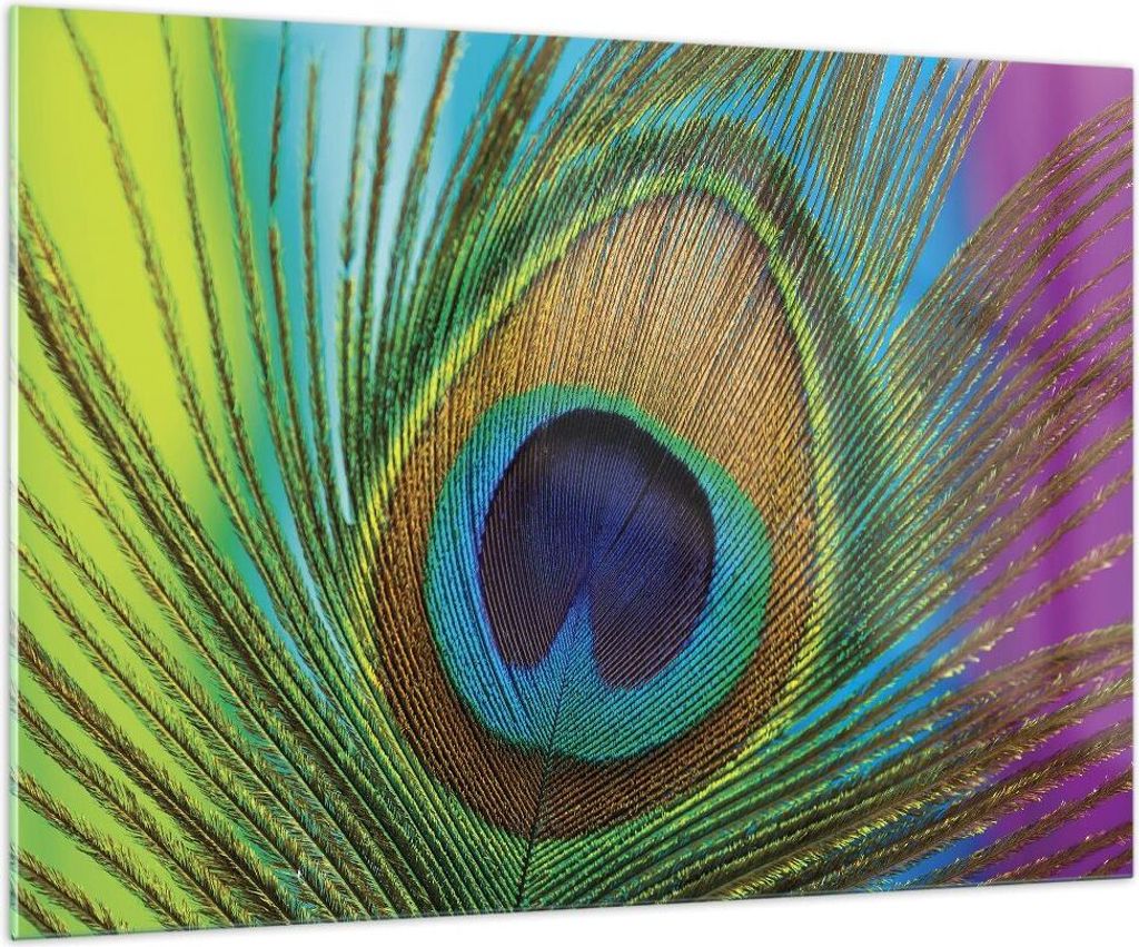 Bilder auf glas - Einteilig - Pfauen Federn Regenbogen - 100x70cm - Glasbilder - Wandbilder - Bilder - zum Aufhängen bereit - Wanddekoration aus G...