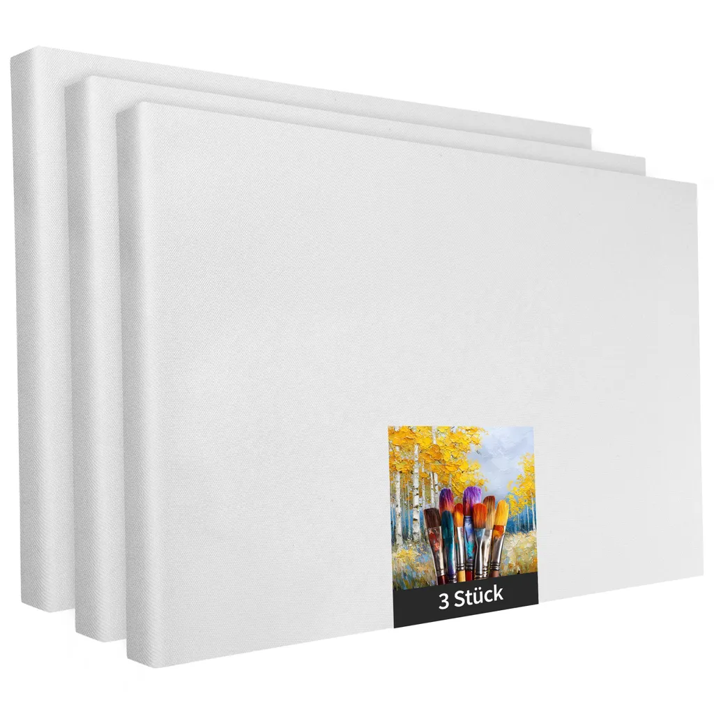 Tela per Artisti 70x100 cm Set da 3 | Poliestere per Acrilici