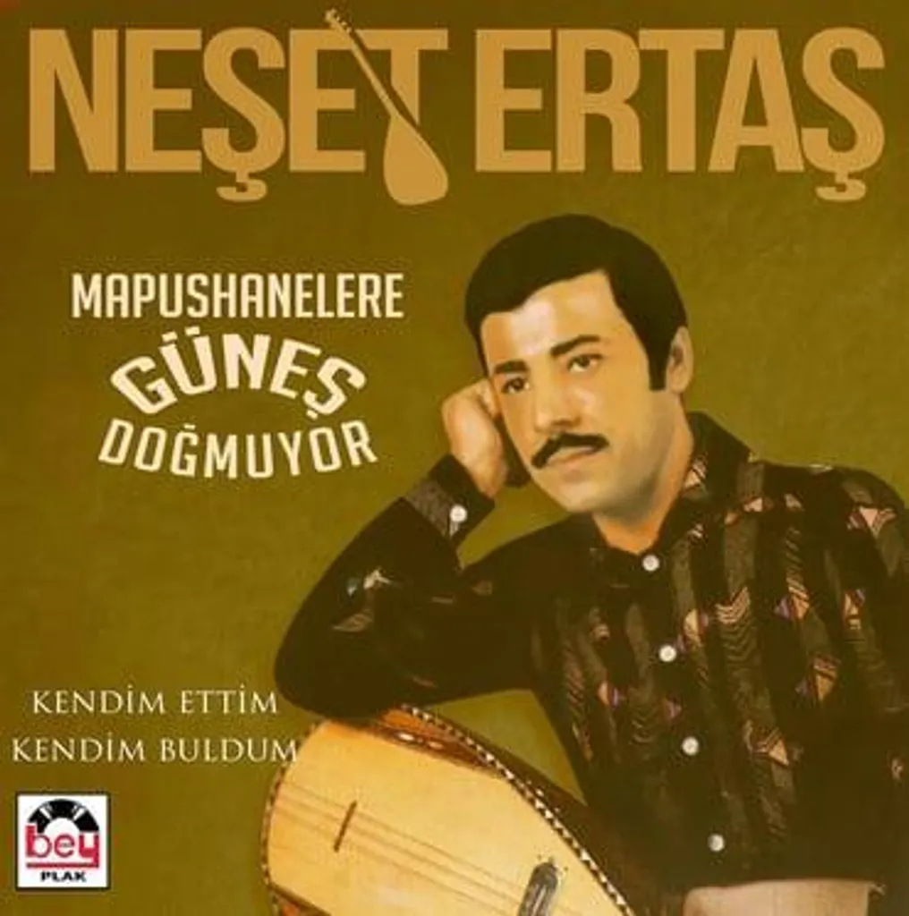 Neşet Ertaş Vinyle Je l'ai fait moi-même Son Analogique Haute Fidélité