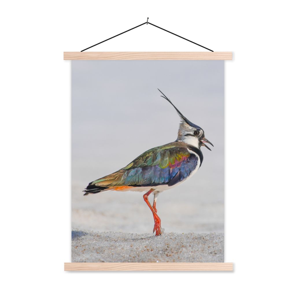 MuchoWow Textilposter Vogel - Tiere - Sand - Kiebitz 60x80 cm mit holzfarbenen Rahmen - Wandbild