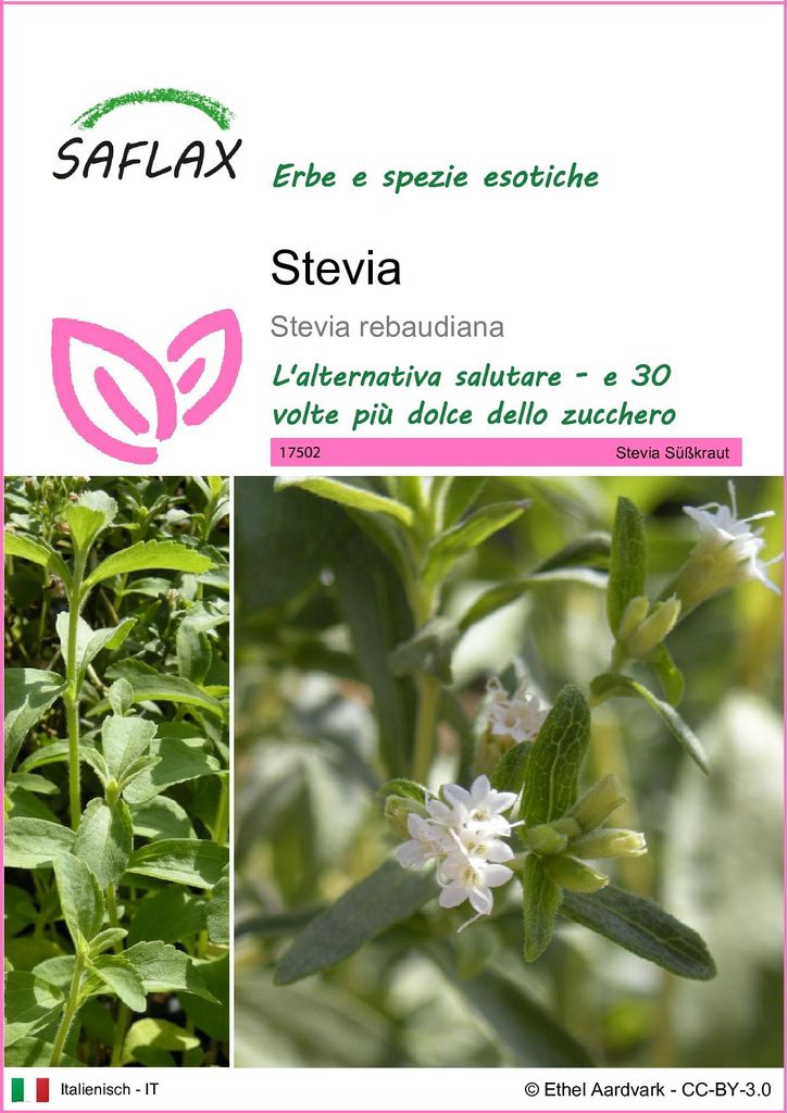 SAFLAX  - Stevia - 100 semi - Stevia Immagine del prodotto 