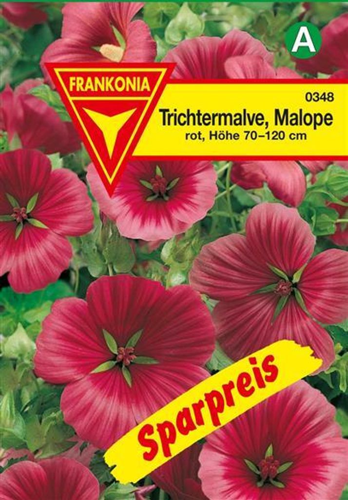 Trichtermalve Malope