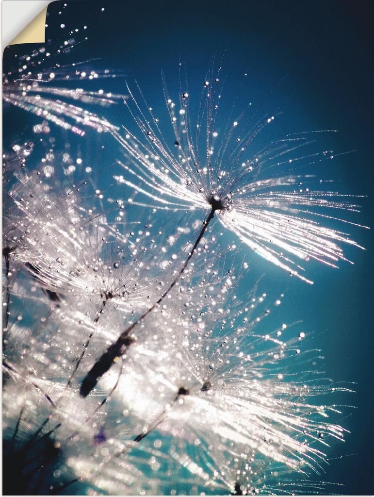 ARTland Wandbild, selbstklebend Pusteblume Kristallschirmchen Größe: 30x40 cm