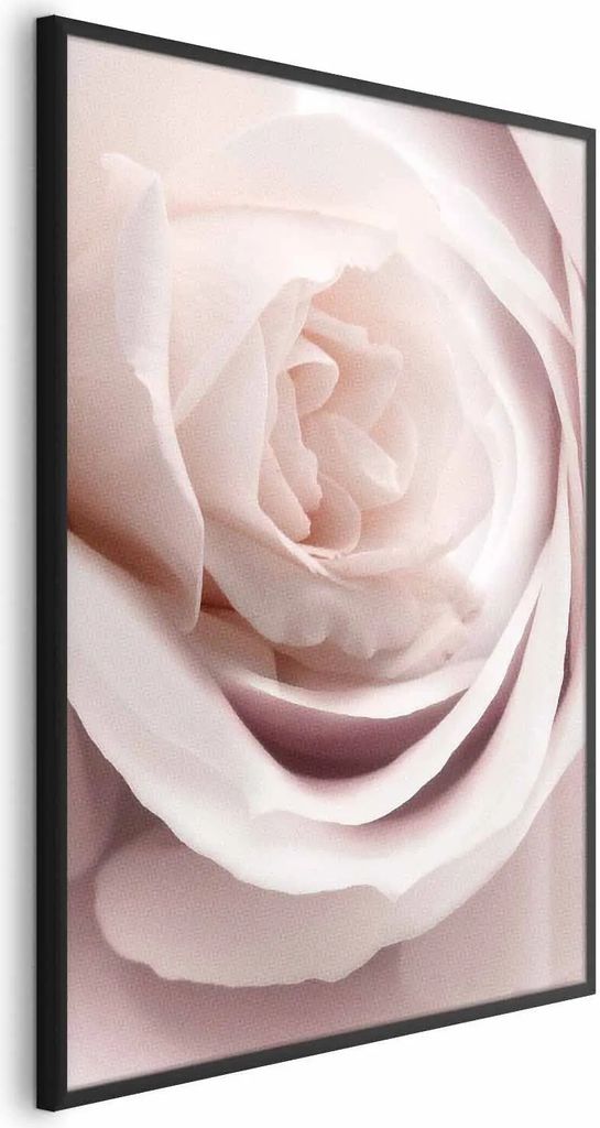 Posterpapier Poster - Porcelain Rose 29.7x42 cm Blumen b-C-0403-ao-a