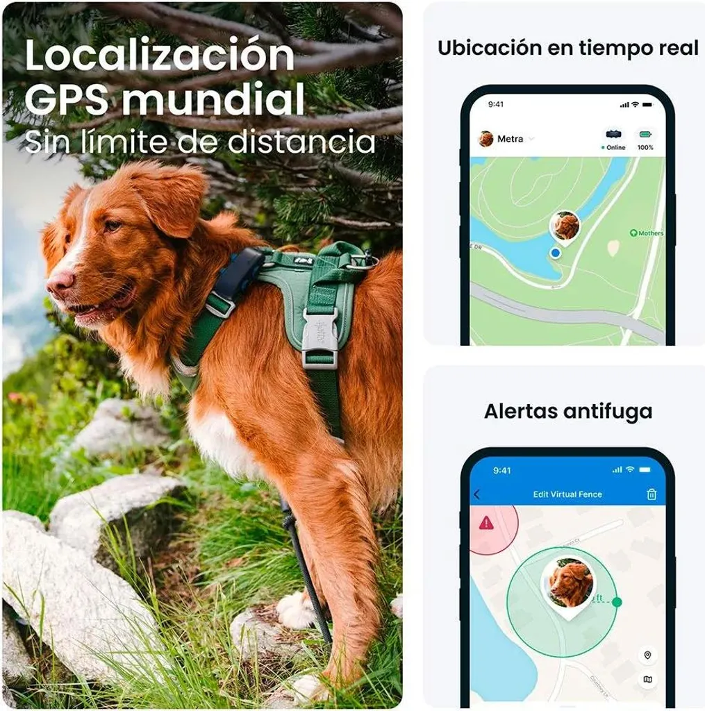 Traceur GPS pour chien Tractive DOG 6 collier de localisation marron
