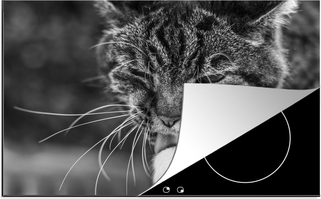 KitchenYeah Herdabdeckplatte Katze wäscht sich selbst , 81x52cm, Küche Deko, Glaskeramikfeld Herdabdeckung, Abdeckplatte fùr Kochfeld