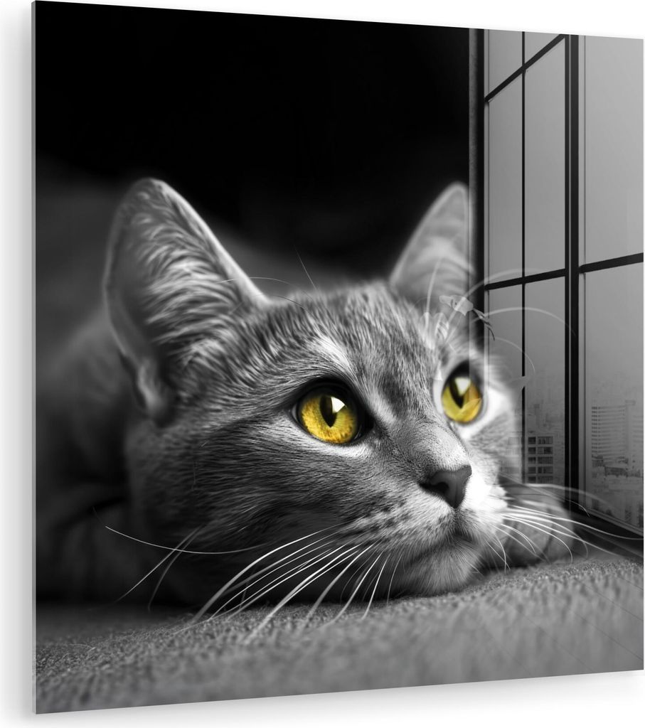 MuchoWow Glasbilder - Bilder auf Wandbild - Foto auf Glas Katze - Schwarz - Weiß - Tiere - Natur 30x30 cm Wanddekoration aus Glas - Acrylglasbild ...