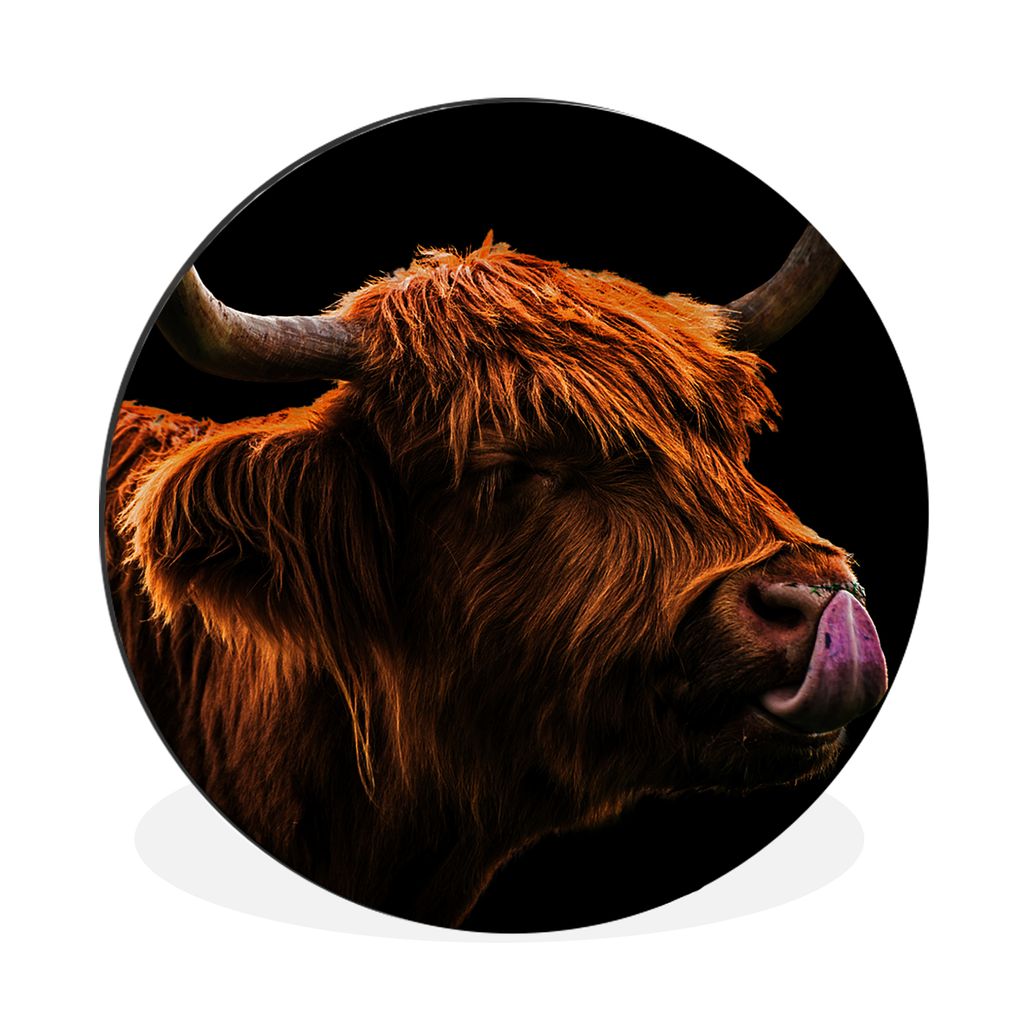 MuchoWow Aluminium Wandkreis Schottischer Highlander - Zunge - Nase Ø 30 cm Wanddeko Modern Wohnzimmer - Wand Bild - Wohnzimmer - Runde Bilder -...