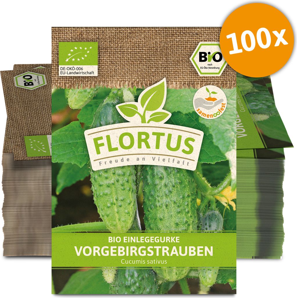 Einlegegurke Vorgebirgstrauben (100 Stück) | Gurkensamen von FLORTUS
