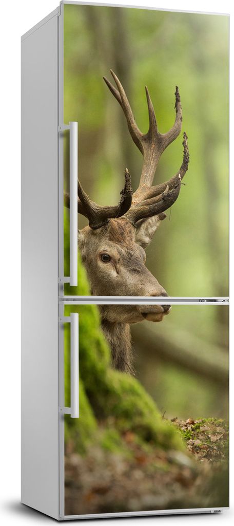 Tulup Kühlschrankdekoration - 70x190 cm - Aufkleber auf dem Kühlschrank - Hirsch