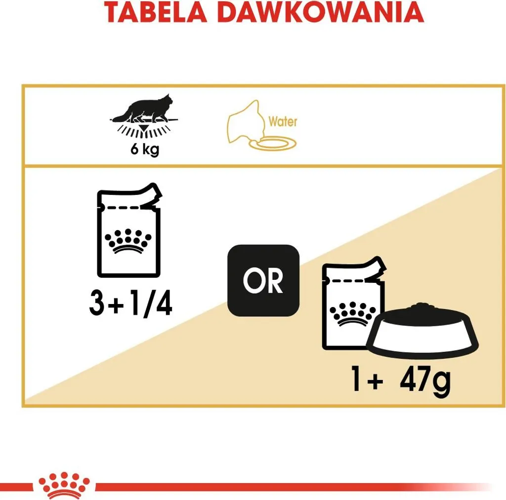 Royal Canin Maine Coon Umido 12x85g | Offerta Speciale Gatti Giganti