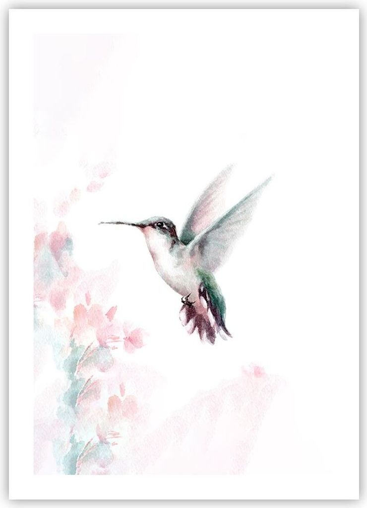 Poster - Poster ohne Rahmen - Kolibri Aquarell Licht - 50x70 cm - Wand Bild - Wanddeko - Wandbilder - Kunstposter - Wandposter - Bilder - Kunstdruc...