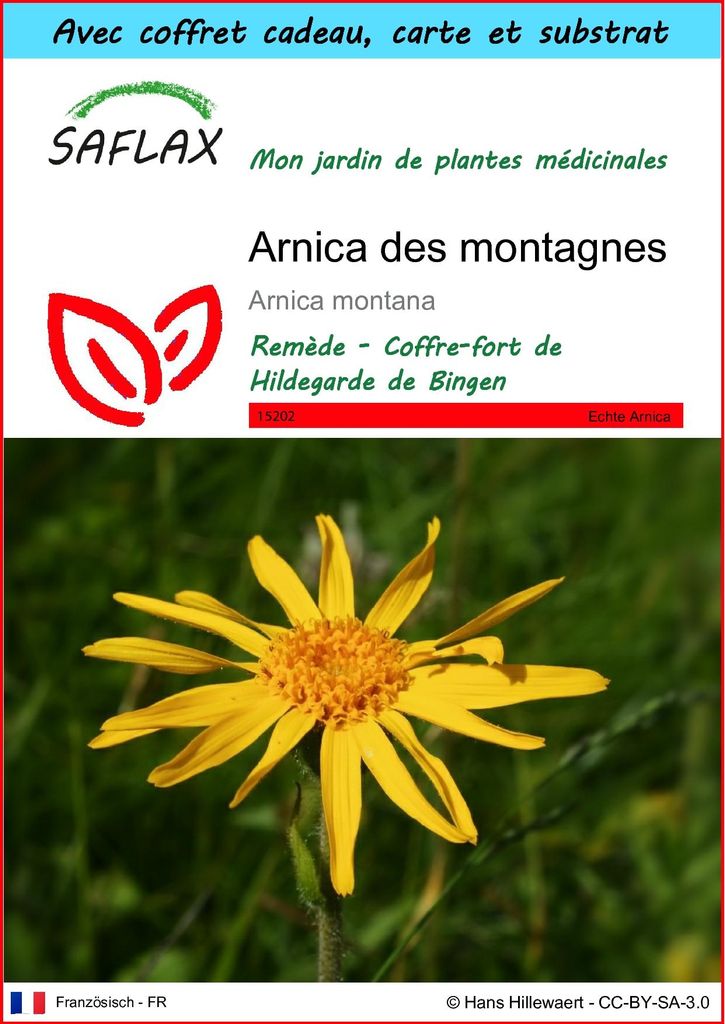 SAFLAX Ensemble-cadeau - Arnica des montagnes - 40 graines Image du produit 