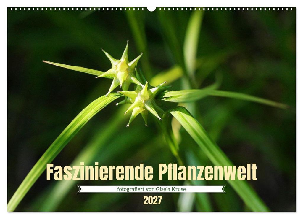 Faszinierende Pflanzenwelt (Wandkalender 2027 DIN A2 quer), CALVENDO Monatskalender