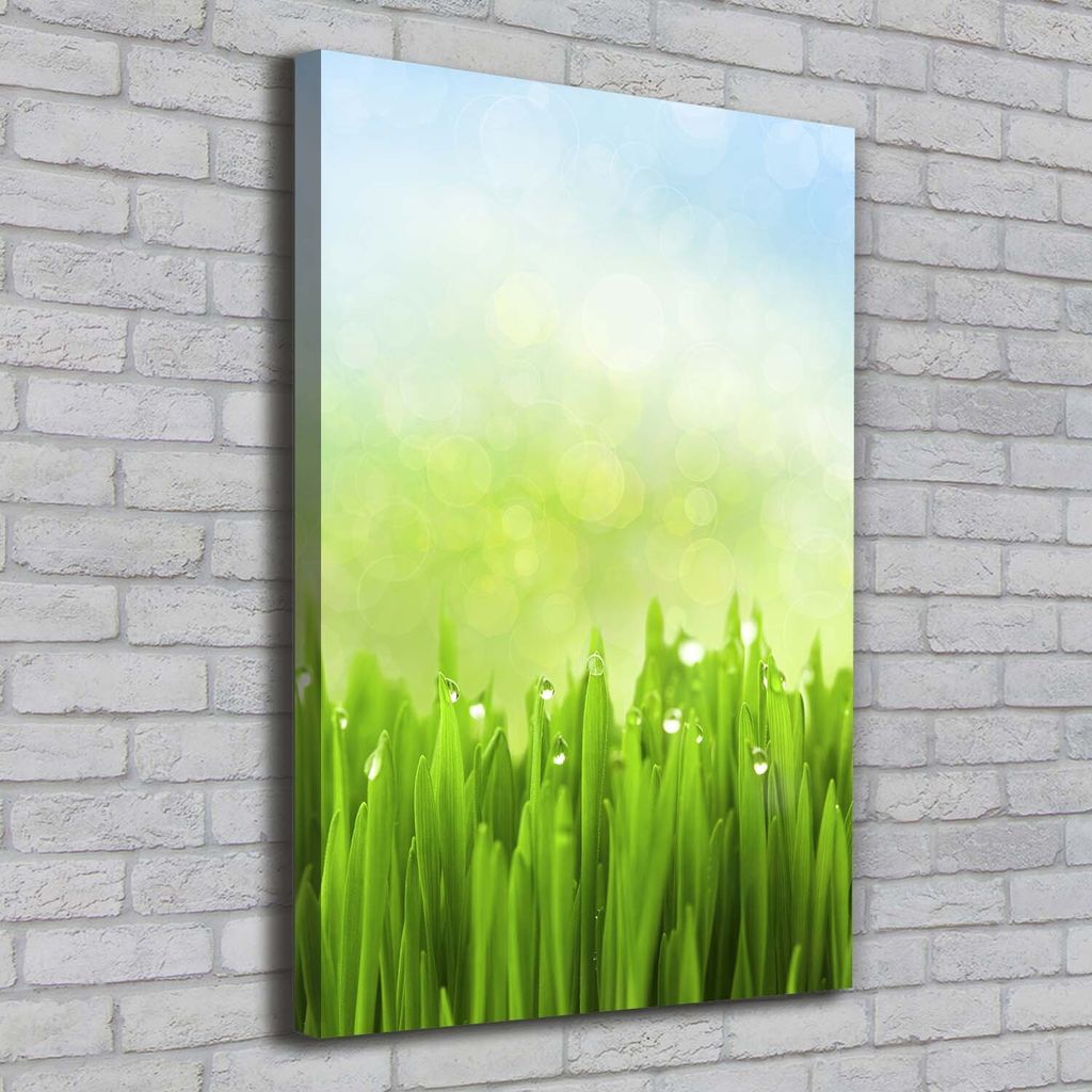 Tulup Leinwandbild - 70x100cm - Wandkunst - Drucke auf Leinwand - Leinwanddruck - Wohnzimmer Wanddekoration XXL - Wohnung Deko Kunstdrucke - Blum...