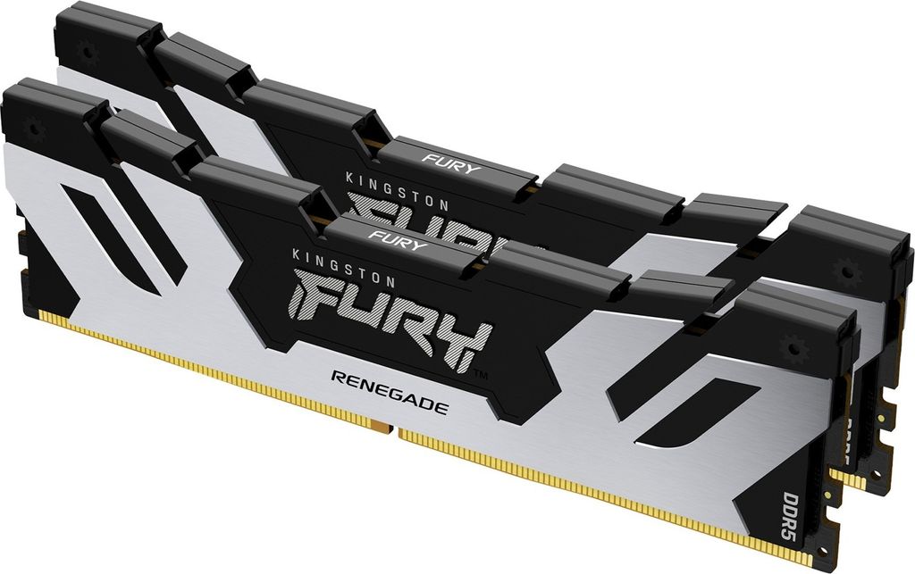 Two Kingston Fury Renegade DDR5 RAM modules are shown against a white background.