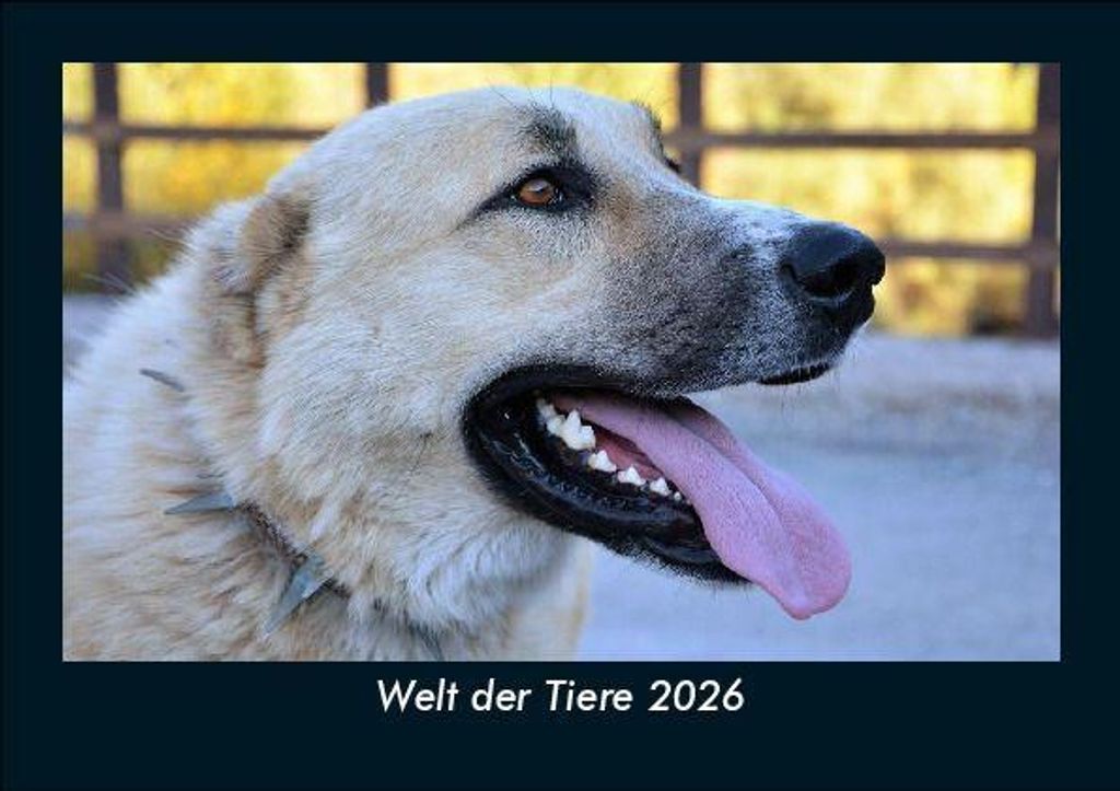 Welt der Tiere 2026 Fotokalender - Querformat DIN A5, Monatskalender mit Bild-Motiven von Haustieren, Bauernhof, wilden Tieren und Raubtieren