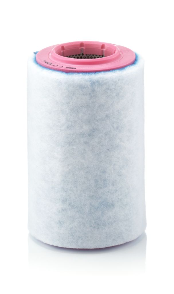Luftfilter MANN-FILTER C 17 237/1 für FIAT Ducato Produktbild 