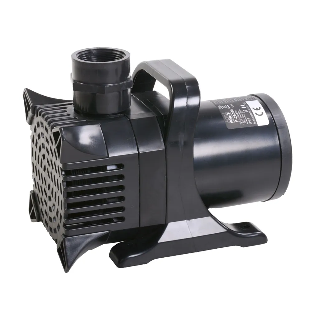 Évitez l'eau trouble avec la pompe AquaForte P-25000 haute performance