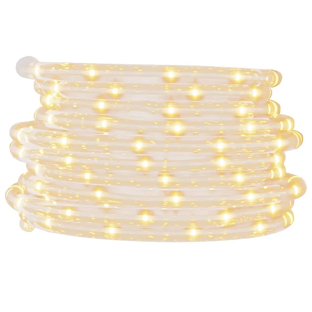 Éclairage de jardin tube lumineux 10m blanc chaud pour terrasse et fête