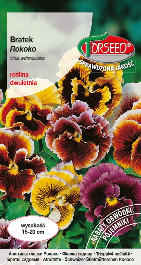 Stiefmütterchen Samen Rokoko mix - Torseed